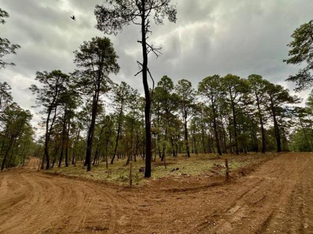 Terrenos en preventa en Atemajac de Brizuela desarrollo TOYAN