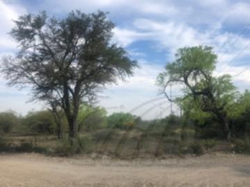 Terrenos en Renta en Pesquería