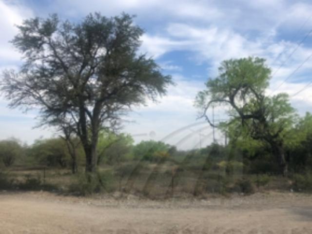 Terrenos en Renta en Pesquería