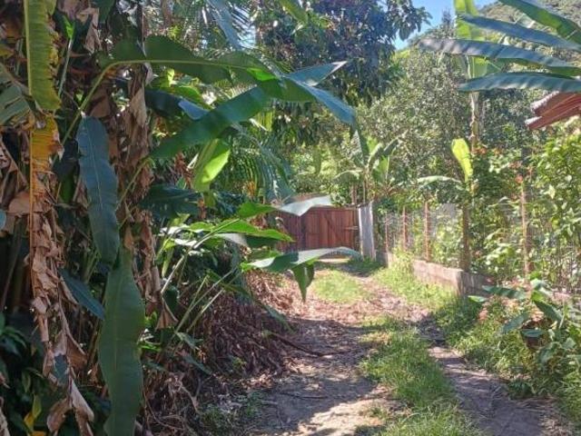 Terrenos Exclusivos no Sertão de Cambury Vila Particular