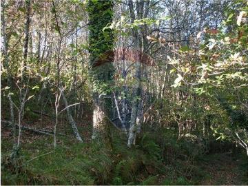 Terrenos Fafe Braga DS100020079