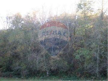 Terrenos Fafe Braga DS100020083