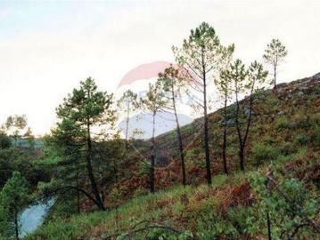 Terrenos Fafe Braga DS100020130