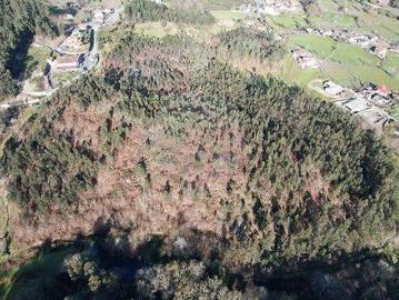 Terrenos Fafe Braga DS100020388