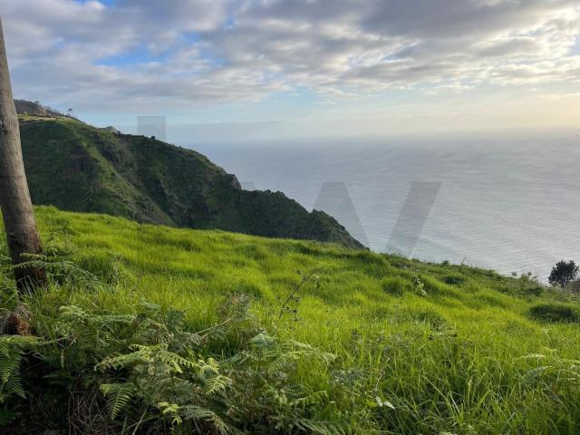 Terreno com Vista Mar e Potencial de Construção na Fajã da Ovelha