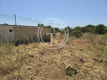 Terrenos Faro Faro 8005 DS91989681