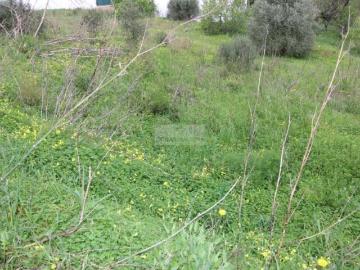 Terrenos Faro Faro DLS102522078