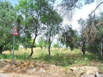 Terrenos Faro Faro DS96331321