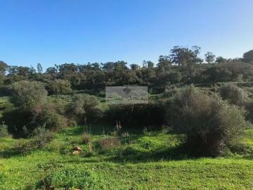 Terrenos Faro Faro DS101398521