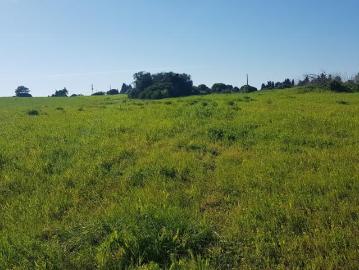 Terrenos Faro Faro DS101398532