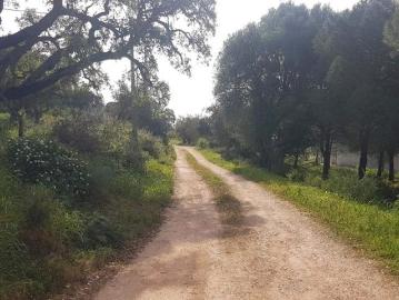 Terrenos Faro Faro DS101398534