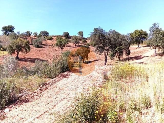 Terrenos Faro Faro DS101398144