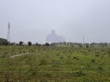 Terrenos Faro Lagoa 8400 DS98704230