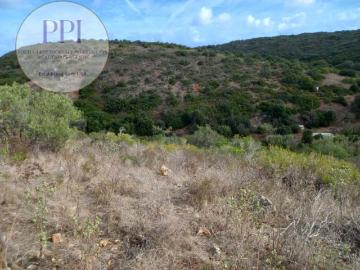 Terrenos Faro Vila do Bispo 8650 DS96583097