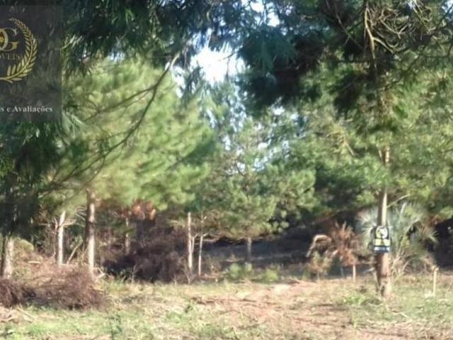 Terrenos Financiáveis e escriturados em Itapuã