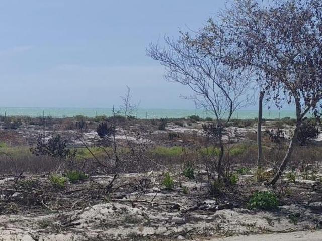 TERRENOS FRENTE AL MAR DE CELESTUN YUCATAN CON 1,116 M2