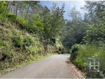 Terrenos Funchal Funchal DS92030396