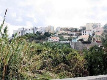 Terrenos Funchal Ilha da Madeira DS96309631