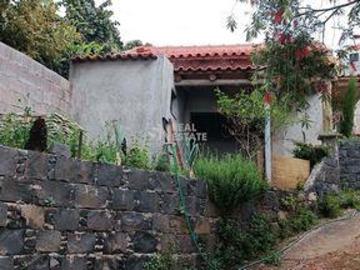 Terrenos Funchal Ilha da Madeira DS96313569