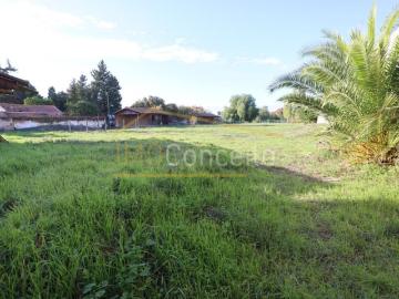 Terrenos Golegã Golegã 2150 196 DS97121810