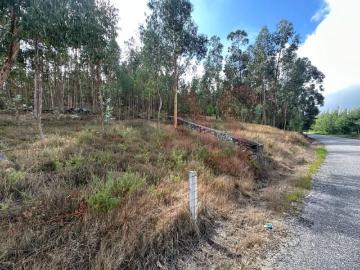 Terrenos Guimarães Guimarães DS97122638