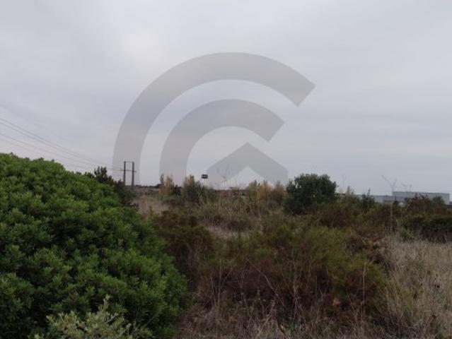 Terrenos Industriais, Investimento