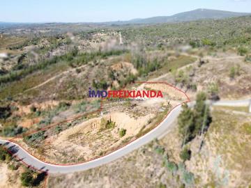 Terrenos Leiria Alvaiázere 3250 DS99559304