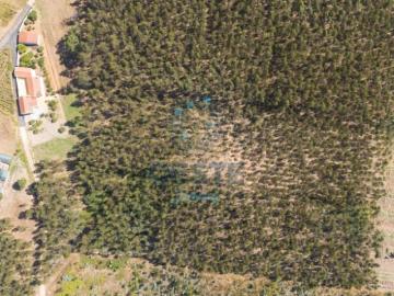 Terrenos Leiria Bombarral 2540 DS97024620