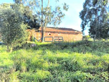 Terrenos Leiria Óbidos 2510 DS97876014