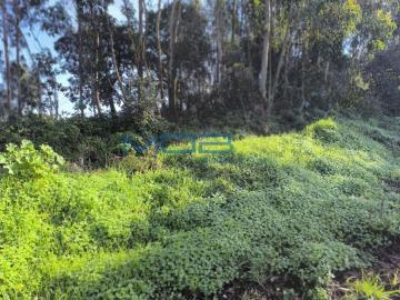 Terrenos Leiria Óbidos 2510 DS97876016