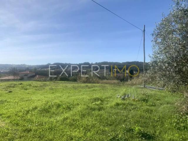 Terrenos Leiria Leiria DS91598514