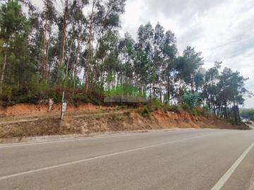 Terrenos Leiria Leiria DS94747483