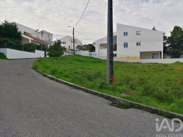 Terrenos Leiria Leiria DS96392106