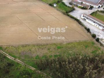 Terrenos Leiria Peniche 2525 DS99223834
