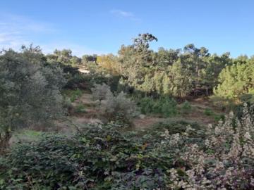 Terrenos Lisboa Loures 2670 DS101016014