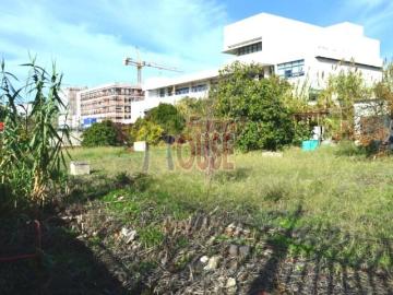 Terrenos Lisboa Lisboa 1300 534 DS90020519