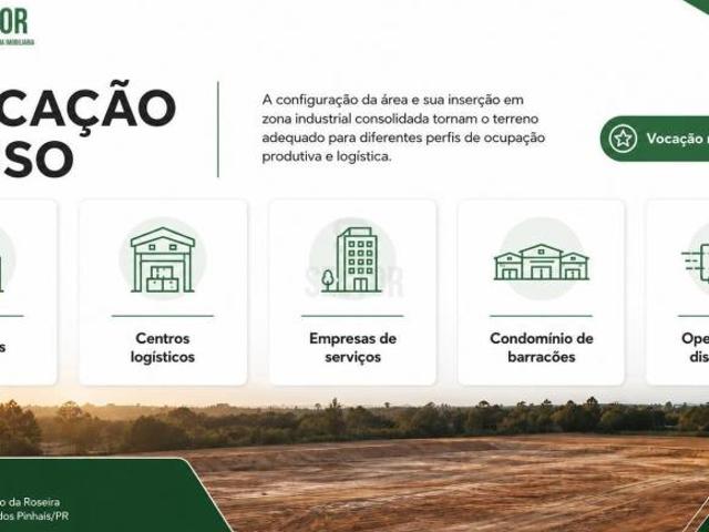 Terrenos / Lotes / Áreas em Campo Largo da Roseira São José dos Pinhais