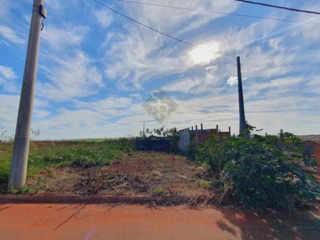 Terrenos LoteTerreno em Cravinhos