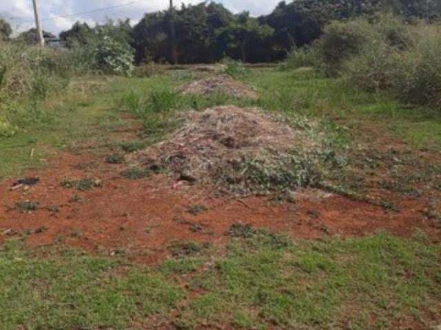 Terrenos LoteTerreno em Ribeirão Preto
