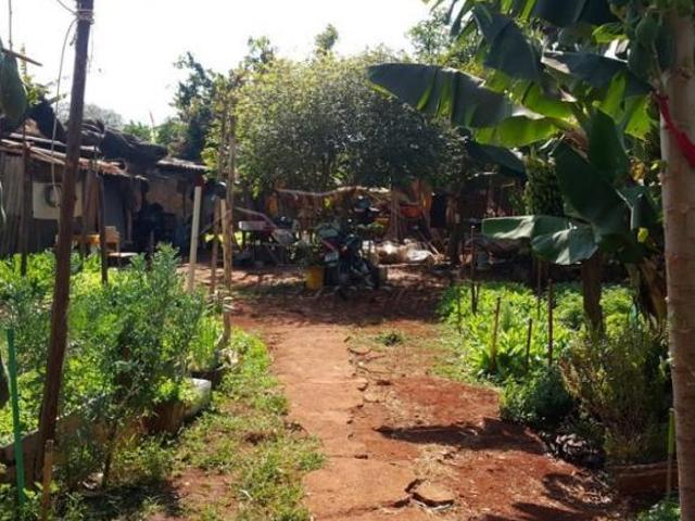 Terrenos LoteTerreno em Ribeirão Preto