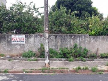 Sumarezinho, Ribeirão Preto, Ribeirão Preto, São Paulo