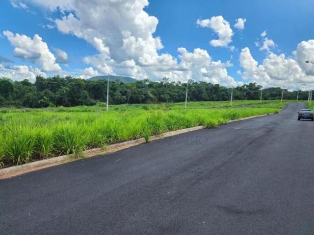 Terrenos LoteTerreno em Rifaina
