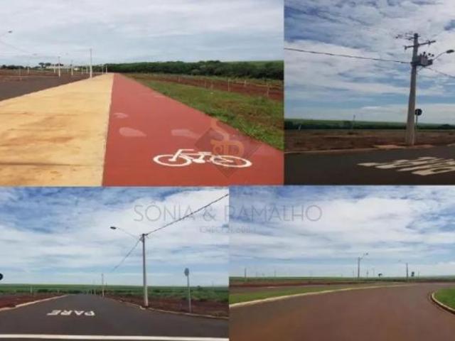 Terrenos LoteTerreno em Sertãozinho
