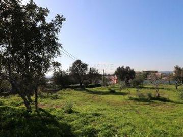 Terrenos Loulé Faro DS96319830