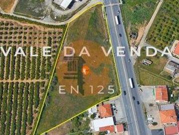 Terrenos Loulé Faro 8001 902 DS96325923