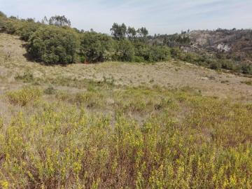 Terrenos Loures Loures DS101213935