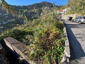 Terrenos Madeira Ribeira Brava 9350 DS101185592