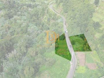 Terrenos Madeira São Vicente 9240 DS98531609