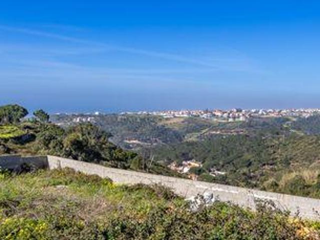 Terrenos Mafra Lisboa DS99354968