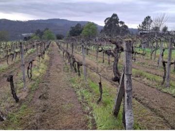 Terrenos Marco de Canaveses Marco de Canaveses DLS89636916